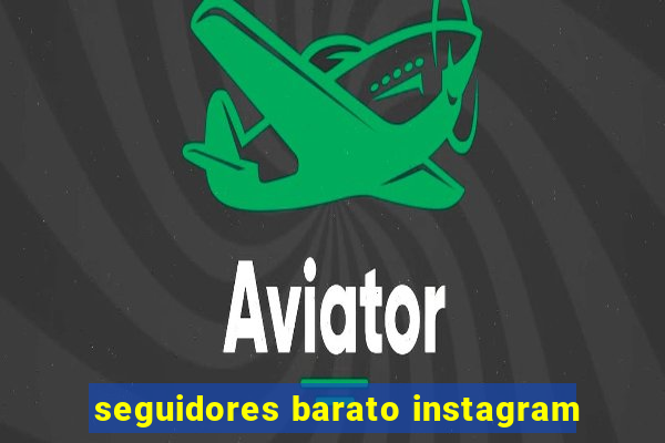 seguidores barato instagram